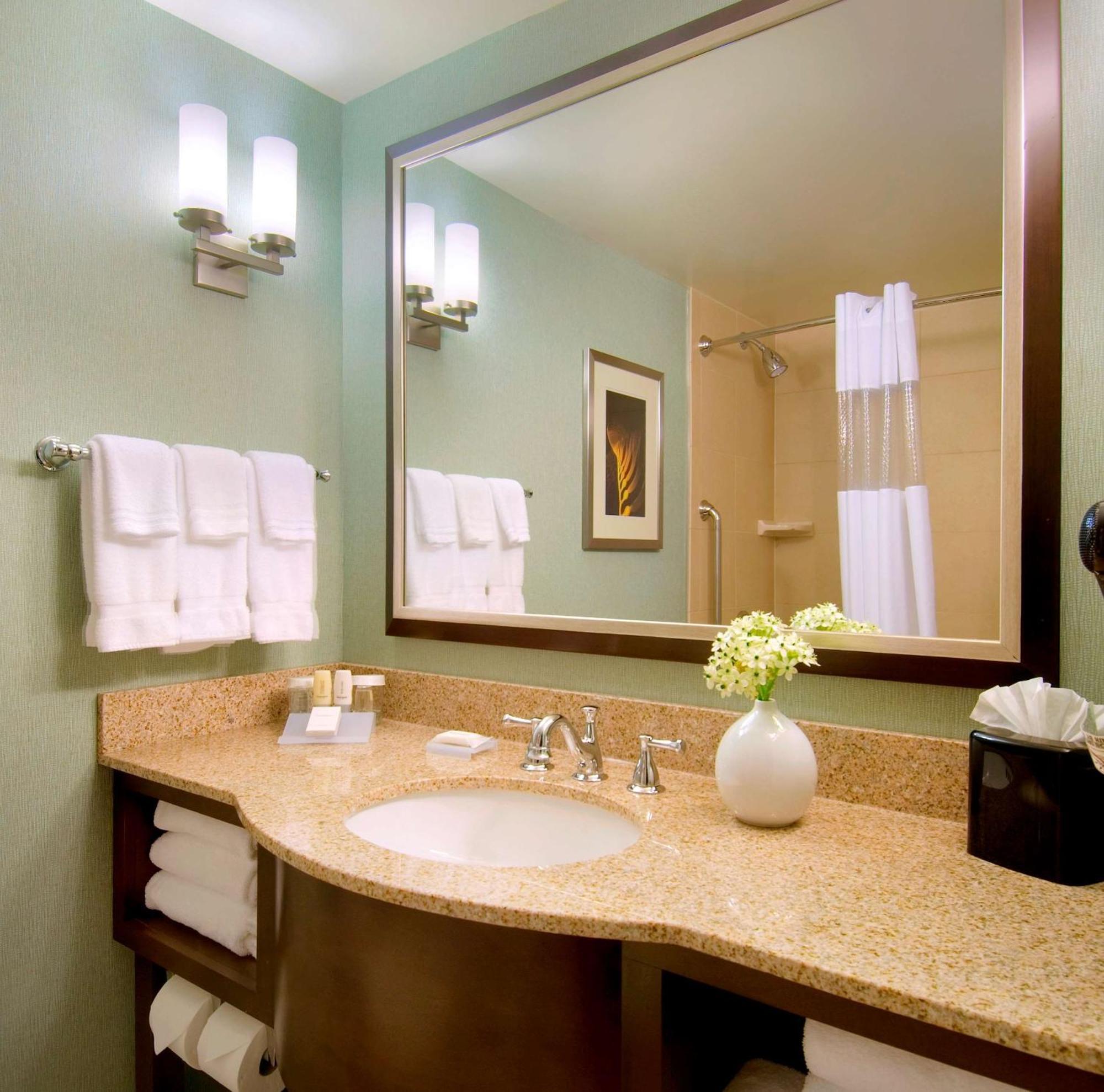 Hilton Garden Downtown Hotel Atlanta